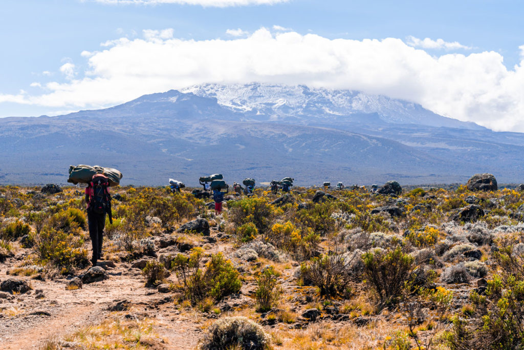 hikers-climbing-mount-kilimanjaro-in-tanzania-2023-11-27-05-12-25-utc
