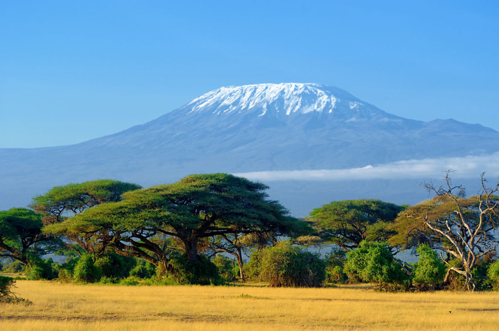 kilimanjaro-on-african-savannah-2023-11-27-05-15-47-utc