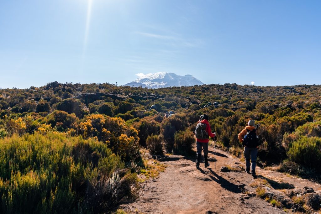 Group of trekkers hiking in Kilimanjaro