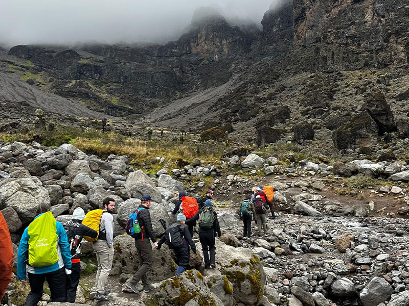 Tourists trekking on Mount Kilimanjaro at high altitude with guides | Kili Quests