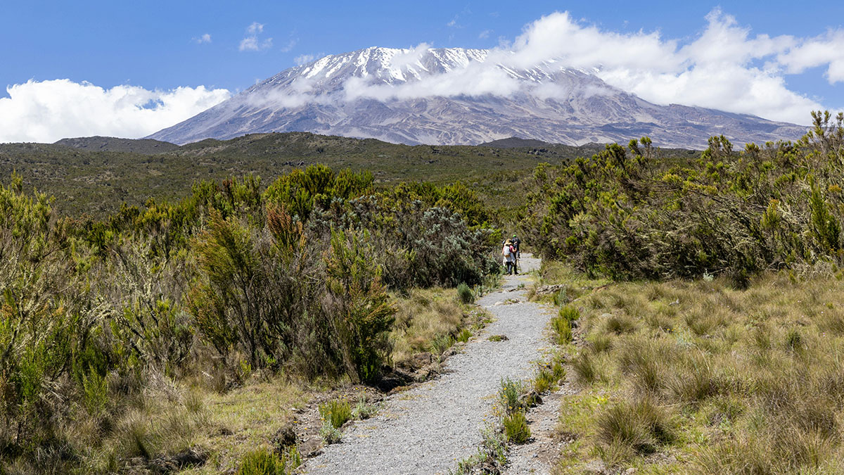 Kilimanjaro Acclimatization Tips: What to Know