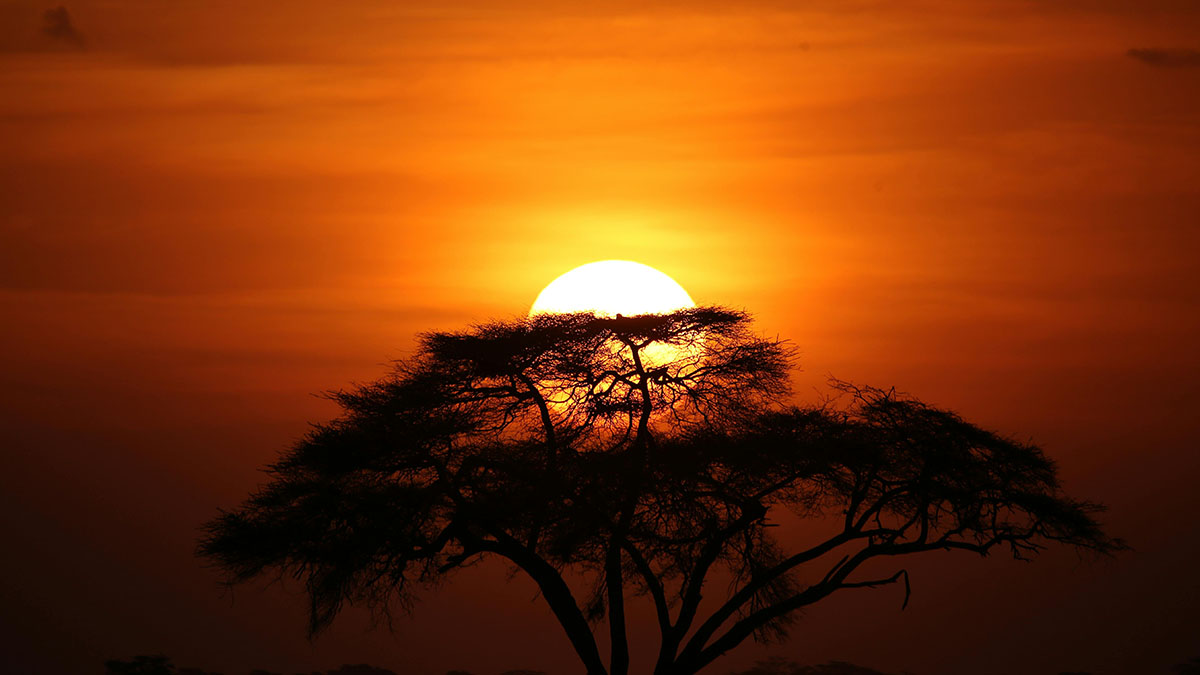 10 Tips for an Unforgettable Safari with Us