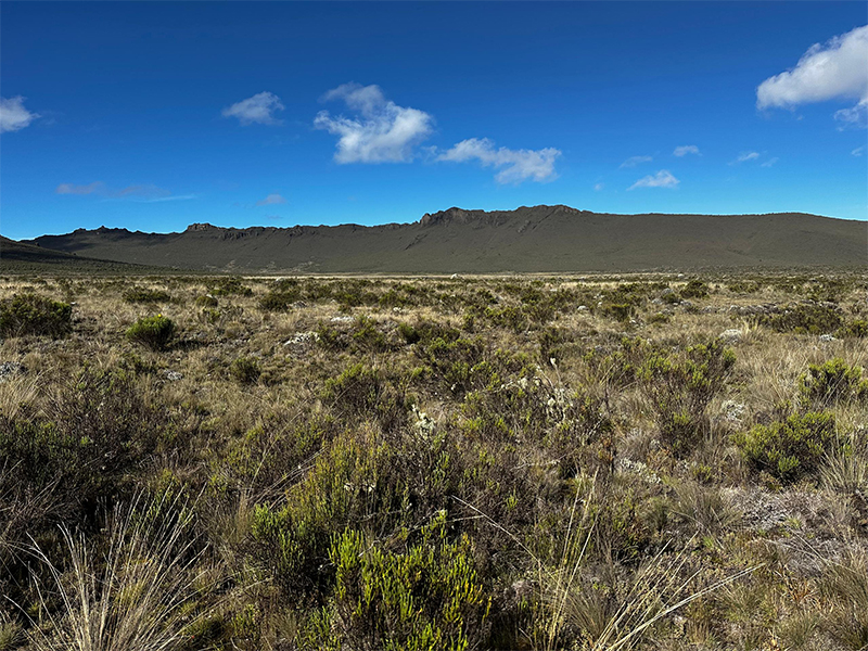 Wide view of the Shira Plateau with its flat landscape and Shira Peak rising in the background