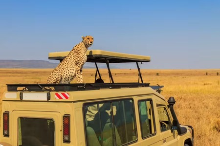 7-Day Tanzania Safari Itinerary: Best Northern Circuit Route