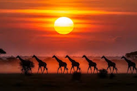 5-Day Tanzania Safari Itinerary: Best Northern Circuit Route