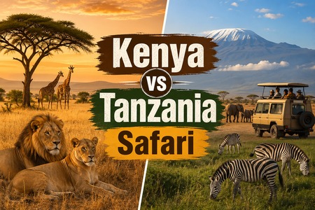 Kenya Safari vs Tanzania Safari: Which Is Better? | Kili Quests