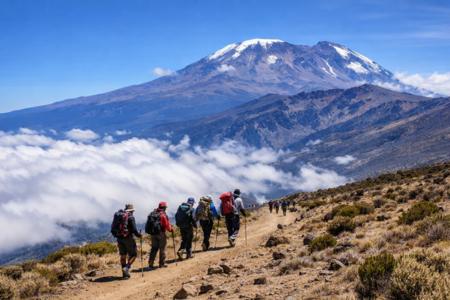 What to Expect on Kilimanjaro: Daily Itinerary Guide