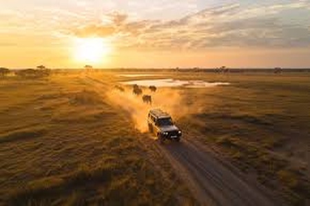 How Many Days Do You Need for a Tanzania Safari?