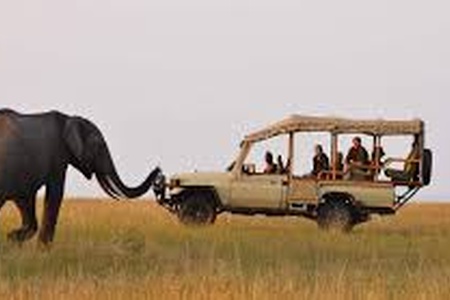 Tanzania Safari Packages | Private & Custom Safari Tours
