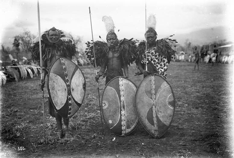 Maasai warrior standing with a traditional shield and spear, dressed in ceremonial attire