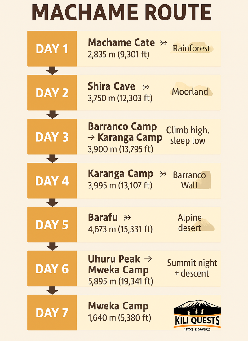 Machame Route infographic showing a 7-day climb on Mount Kilimanjaro with camps, hike times, and elevation changes.