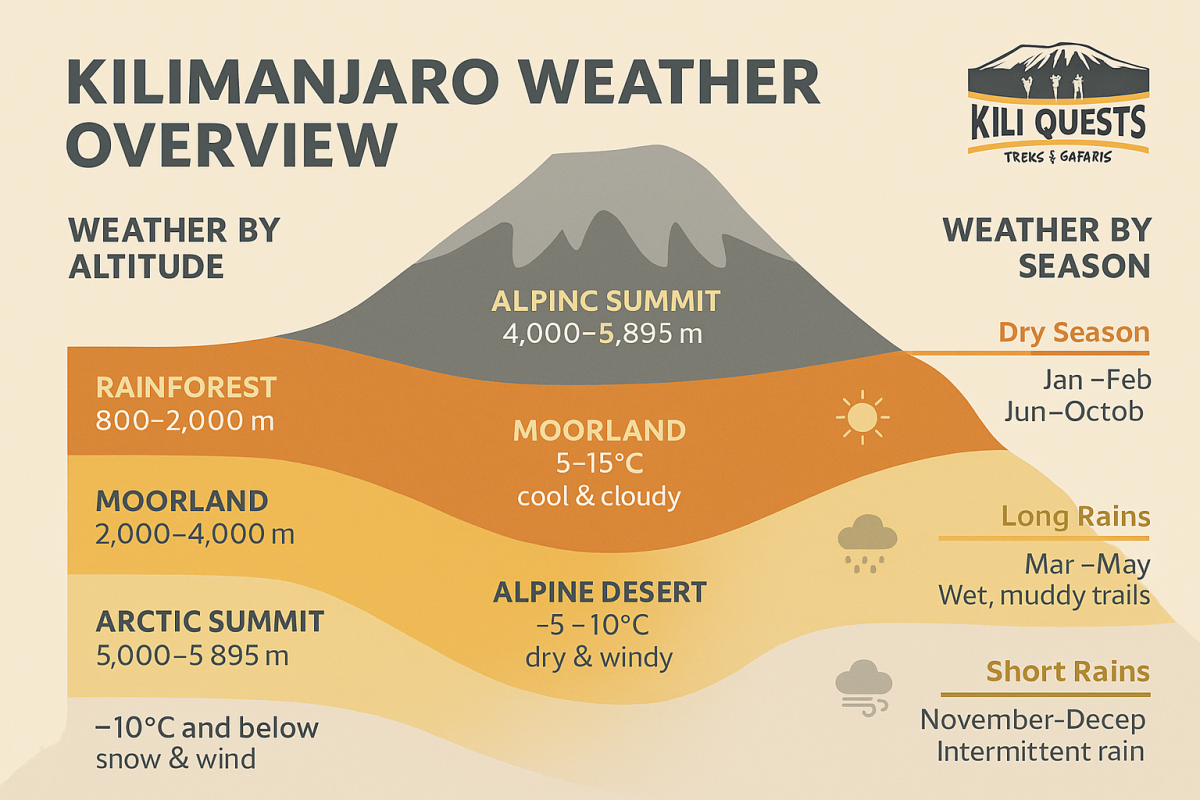 Kilimanjaro weather infographic showing climate conditions by altitude (rainforest, moorland, alpine desert, arctic summit) and season (dry season, long rains, short rains) with temperature and weather icons.